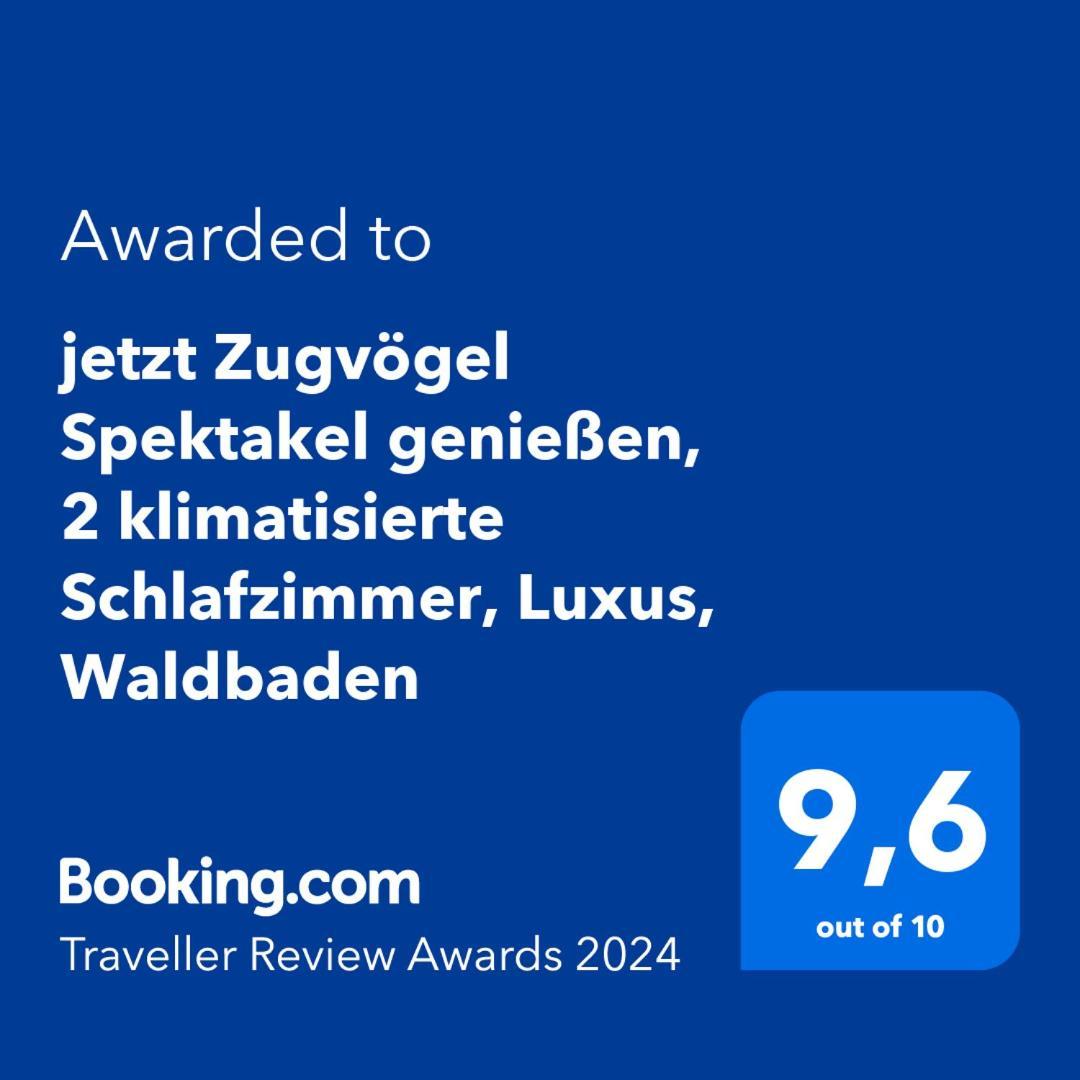 5 Sterne Bahnhoftraum, Appartement "Waldliebe" 133Qm, Grosse Terrasse 70Qm, Qr Code Scannen Fuer Virtuellen Rundgang, Premium Ausstattung Брацнфельс Екстер'єр фото